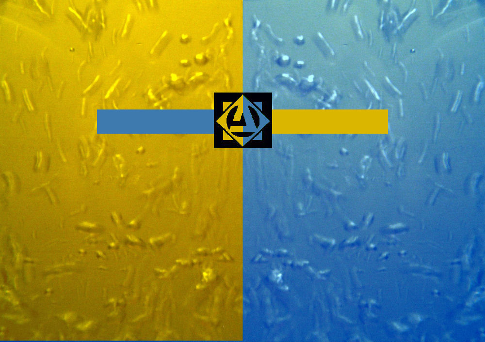 CD Cover Design 9
